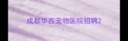 成都华西宠物医院招聘