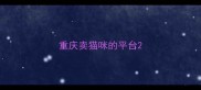 重庆卖猫咪的平台