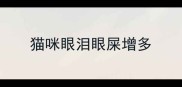 猫咪眼泪眼屎增多