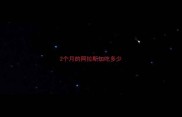 2个月的阿拉斯加吃多少
