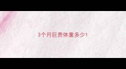 3个月巨贵体重多少