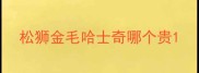 松狮金毛哈士奇哪个贵