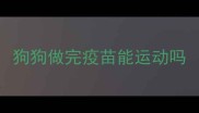 狗狗做完疫苗能运动吗