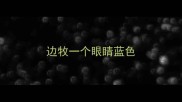 边牧一个眼睛蓝色