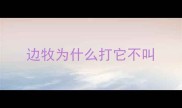 边牧为什么打它不叫