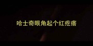 哈士奇眼角起个红疙瘩