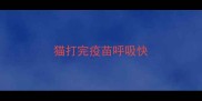 猫打完疫苗呼吸快