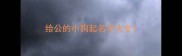 给公的小狗起名字大全