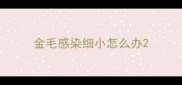 金毛感染细小怎么办
