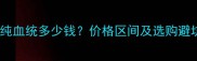 哈士奇纯血统多少钱价格区间及选购避坑指南