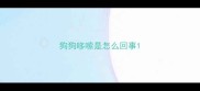 狗狗哆嗦是怎么回事