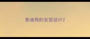 泰迪狗的发型设计