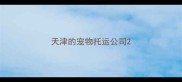 天津的宠物托运公司