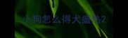 小狗怎么得犬瘟热