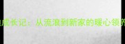两年泰迪成长记从流浪到新家的暖心领养全流程