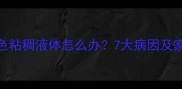 哈士奇吐白色粘稠液体怎么办7大病因及家庭护理指南