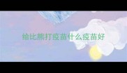 给比熊打疫苗什么疫苗好