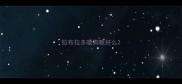 拉布拉多喂狗粮好么