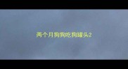 两个月狗狗吃狗罐头