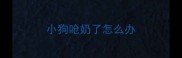 小狗呛奶了怎么办