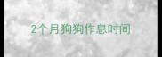 2个月狗狗作息时间