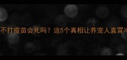 小狗不打疫苗会死吗这5个真相让养宠人直冒冷汗