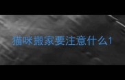 猫咪搬家要注意什么
