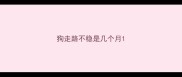 狗走路不稳是几个月