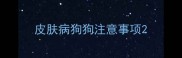 皮肤病狗狗注意事项