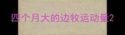 四个月大的边牧运动量