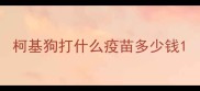 柯基狗打什么疫苗多少钱
