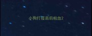 小狗打疫苗后啦血