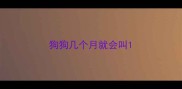 狗狗几个月就会叫