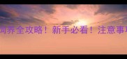 哈士奇饲养全攻略新手必看注意事项超全
