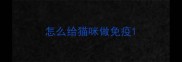 怎么给猫咪做免疫