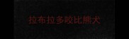 拉布拉多咬比熊犬