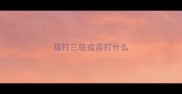猫打三联疫苗打什么