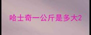哈士奇一公斤是多大