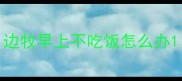 边牧早上不吃饭怎么办
