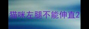 猫咪左腿不能伸直