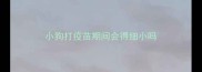 小狗打疫苗期间会得细小吗