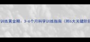 狗狗训练黄金期3-6个月科学训练指南附6大关键阶段