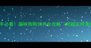 新手必看猫咪狗狗饲养全攻略附超实用清单