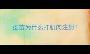 疫苗为什么打肌肉注射