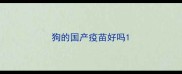 狗的国产疫苗好吗