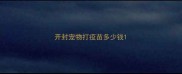 开封宠物打疫苗多少钱