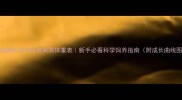 边境牧羊犬标准肩高体重表新手必看科学饲养指南附成长曲线图