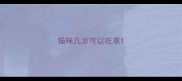 猫咪几岁可以吃草