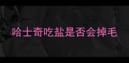 哈士奇吃盐是否会掉毛