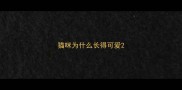 猫咪为什么长得可爱